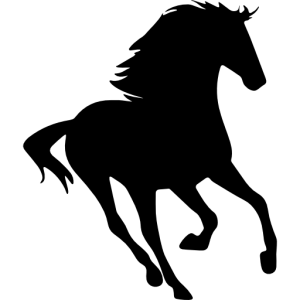 33719 33719