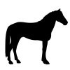 silhouette-4100417_960_720 silhouette-4100417_960_720